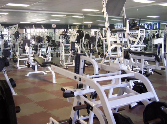 Hammer Strength at Calloway's Health & Fitness
